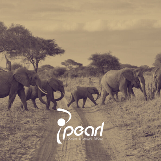 Pearl Tourism & Leisure Group | MessageMind